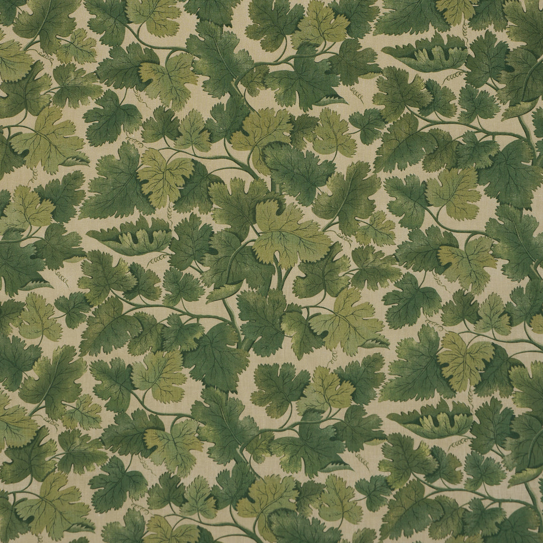 Edinburgh Vine Moss 182790 by Schumacher Designer Fabric