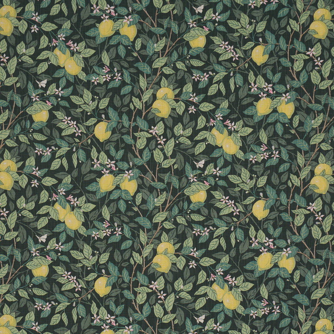 Citronträd Green 182951 by Schumacher Designer Fabric