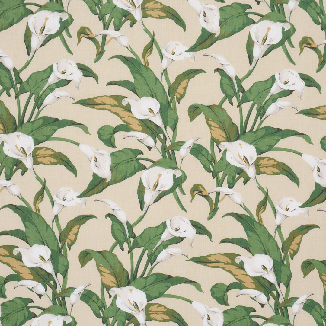 Arum Lilies Parchment 183122 by Schumacher Designer Fabric