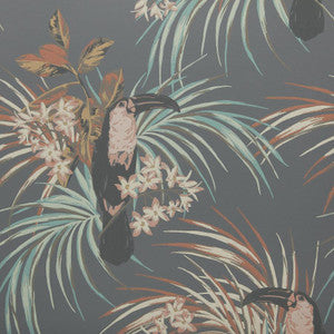 Le Toucan (Wp) # 05 Charcoal by 1838 Wallcoverings Designer Wallpaper