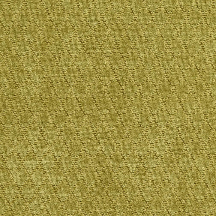 1914 Meadow by Charlotte Designer Fabric Ring book page #21A 100% Woven Polyester Asia Exceeds 120,000 Wyzenbeek Rubs (Heavy Duty) </p><p>Repeat: Horizontal: .5" x Vertical: 1" 54 Inches - Swanky Fabrics -
