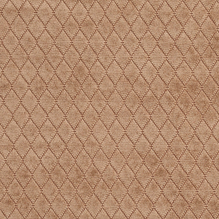 1916 Fawn by Charlotte Designer Fabric Ring book page #21A 100% Woven Polyester Asia Exceeds 100,000 Wyzenbeek Rubs (Heavy Duty) Horizontal: .5" x Vertical: 1" 54 Inches - Swanky Fabrics -