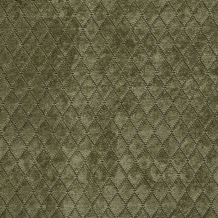 1921 Sage by Charlotte Designer Fabric Ring book page #21A 100% Woven Polyester Asia Exceeds 100,000 Wyzenbeek Rubs (Heavy Duty) Horizontal: .5" x Vertical: 1" 54 Inches - Swanky Fabrics -
