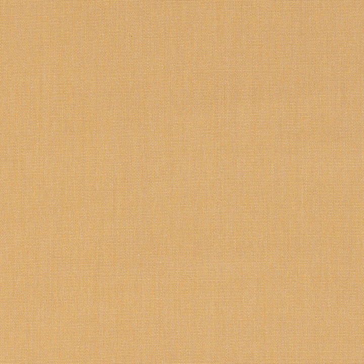 Canvas Harvest 14165-0000 by Sunbrella Designer Fabric 100% Sunbrella® Acrylic 45000 Horizontal: and Vertical: 54 in. - Swanky Fabrics -