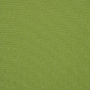 54011 77 Rain Canvas Ginkgo by Sunbrella Designer Fabric