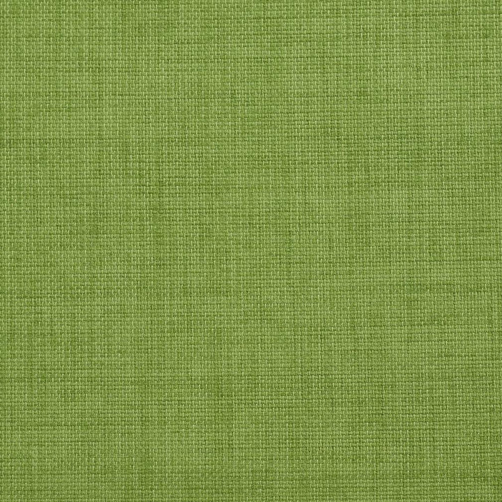 2000 Grass by Charlotte Designer Fabric All Season Vol. 2 100% Woven Acrylic Made In USA Exceeds 50,000 Wyzenbeek Rubs (Heavy Duty) No Repeat 54 Inches - Swanky Fabrics -