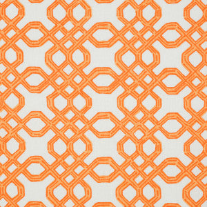 Well Connected Clementine by Lee Jofa Designer Fabric