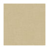 Dublin Linen Pebble by Lee Jofa Designer Fabric