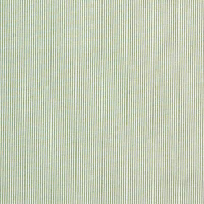 Captiva Ticking Green by Lee Jofa Designer Fabric COLOUR COMPLEMENTS II COTTON - 100% Portugal HEAVY Horizontal: 0 and Vertical: 0 54 - Swanky Fabrics -