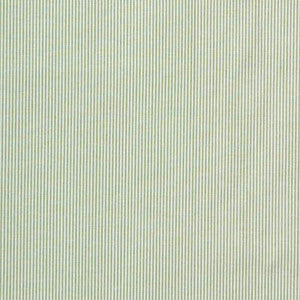 Captiva Ticking Green by Lee Jofa Designer Fabric