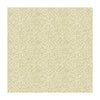 Chantilly Weave Beige by Lee Jofa Designer Fabric