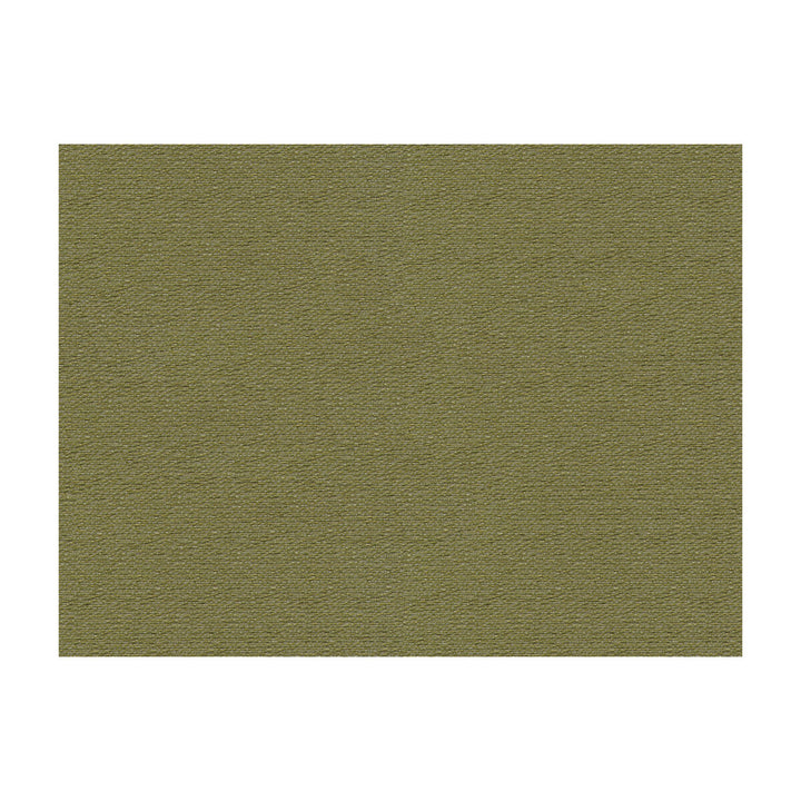 Bank Herb by Lee Jofa Designer Fabric JAMES HUNIFORD EXPRESS MERCERIZED COTTON - 53%;COTTON - 33%;RAYON - 14% United States HEAVY Horizontal: 0.75 and Vertical: 1 56.5 - Swanky Fabrics -