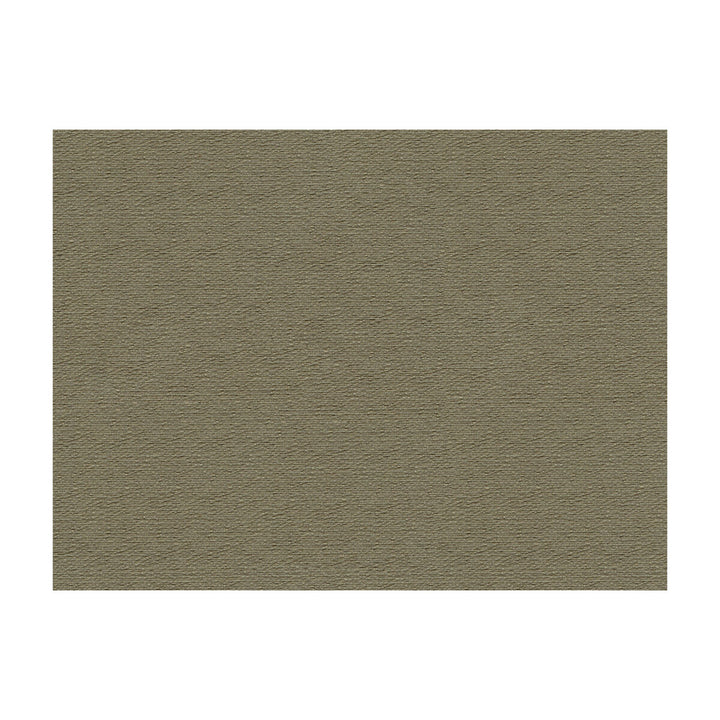 Bank Charcoal by Lee Jofa Designer Fabric JAMES HUNIFORD EXPRESS MERCERIZED COTTON - 53%;COTTON - 33%;RAYON - 14% United States HEAVY Horizontal: 0.75 and Vertical: 1 56.5 - Swanky Fabrics -