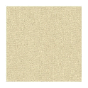 Mesa Powder by Lee Jofa Designer Fabric