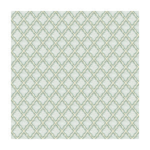Larkspur Mist by Lee Jofa Designer Fabric