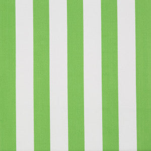 Surf Stripe Palm Green by Lee Jofa Designer Fabric