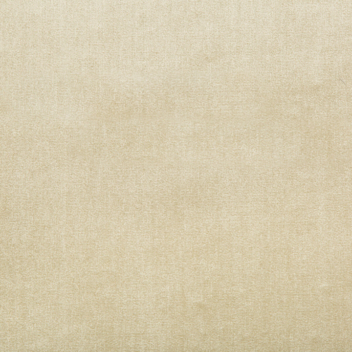 Duchess Velvet Beige by Lee Jofa Designer Fabric - SILK - 51%;COTTON - 49% Italy MEDIUM Horizontal: 0 and Vertical: 0 55 - Swanky Fabrics -