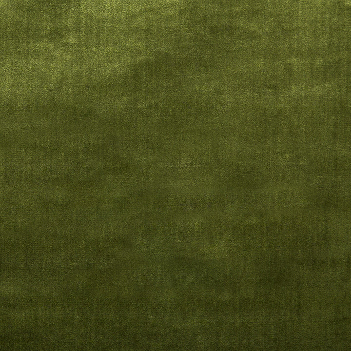 Duchess Velvet Olive by Lee Jofa Designer Fabric SILK - 51%;COTTON - 49% Italy MEDIUM Horizontal: 0 and Vertical: 0 55 - Swanky Fabrics -