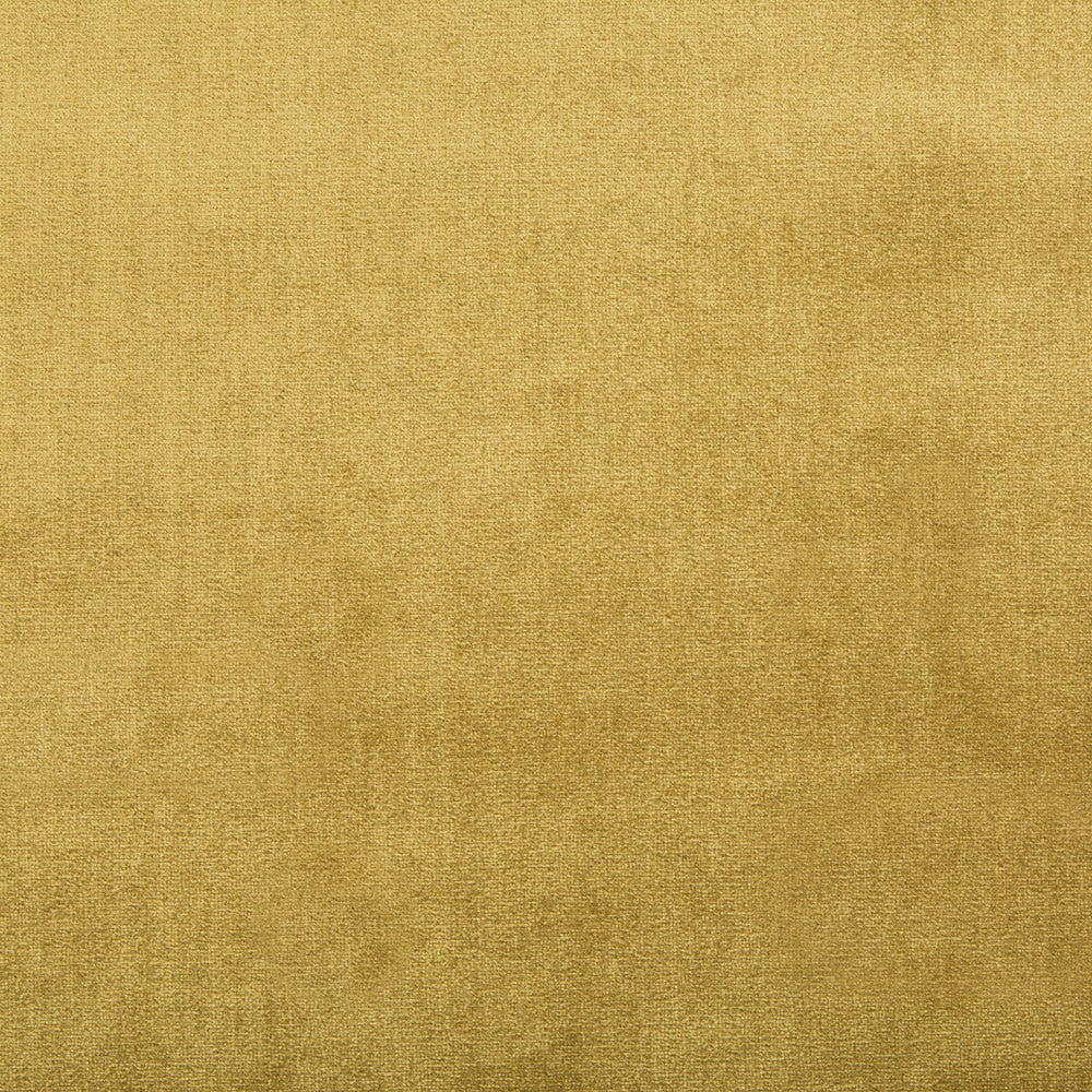 Duchess Velvet Oro by Lee Jofa Fabric Lee Jofa Fabric Duchess Velvet OroFabric SILK - 51%;COTTON - 49% Italy </p><p>Repeat: H: 0, V: 0 55 - Fabric Carolina -