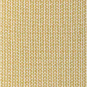 Kaya Ii Maize 2017224.40.0 By Lee Jofa Designer Fabric