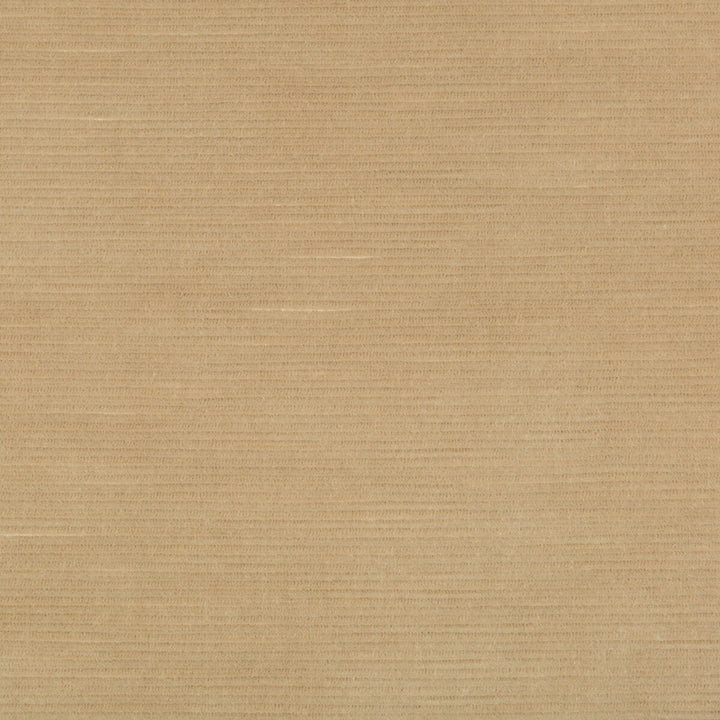 Gemma Velvet Sand by Lee Jofa Designer Fabric GEMMA PERFORMANCE VELVET POLYESTER - 100% Italy HEAVY Horizontal: 0 and Vertical: 0 55 - Swanky Fabrics -