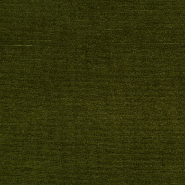 Gemma Velvet Moss by Lee Jofa Designer Fabric GEMMA PERFORMANCE VELVET POLYESTER - 100% Italy HEAVY Horizontal: 0 and Vertical: 0 55 - Swanky Fabrics -