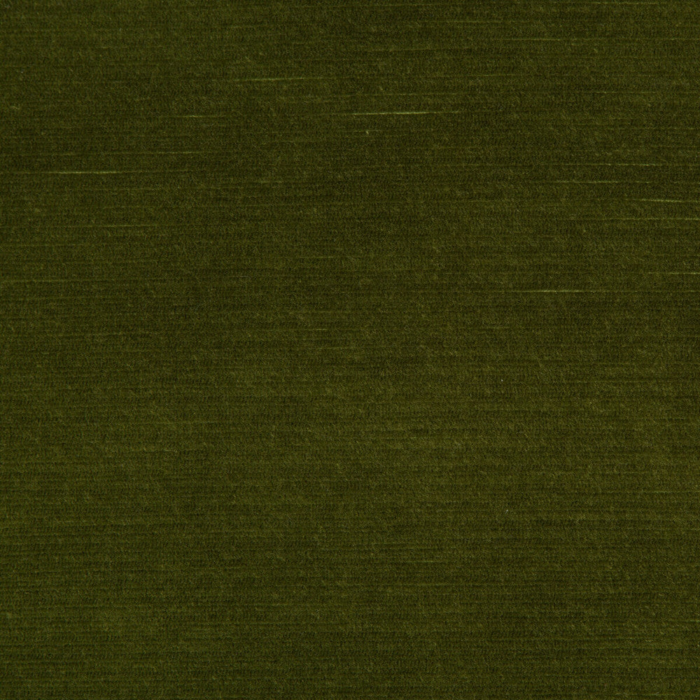 Gemma Velvet Moss by Lee Jofa Designer Fabric GEMMA PERFORMANCE VELVET POLYESTER - 100% Italy HEAVY Horizontal: 0 and Vertical: 0 55 - Swanky Fabrics -