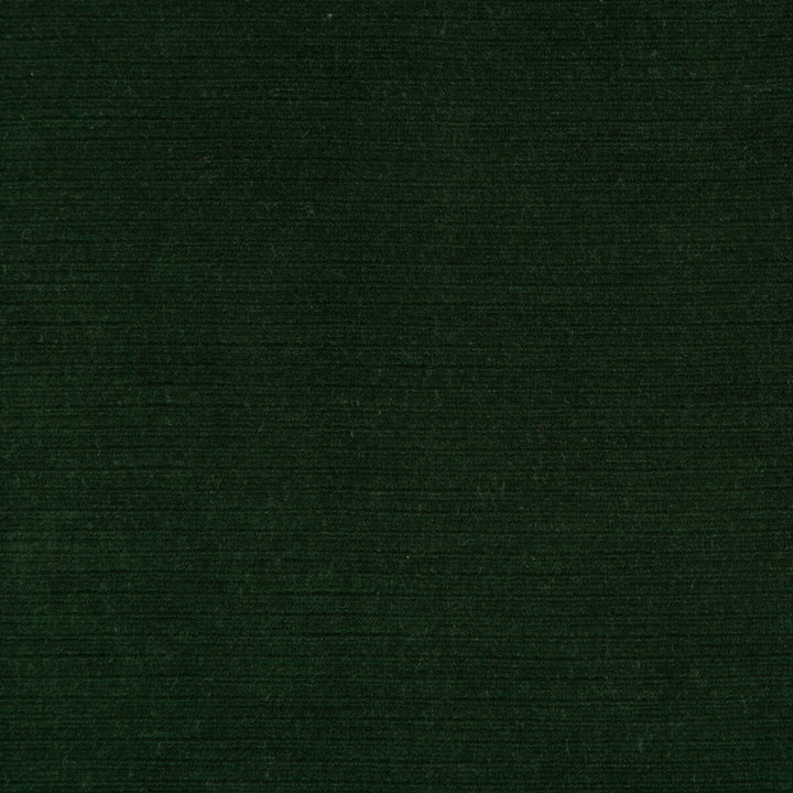 Gemma Velvet Emerald by Lee Jofa Designer Fabric GEMMA PERFORMANCE VELVET POLYESTER - 100% Italy HEAVY Horizontal: 0 and Vertical: 0 55 - Swanky Fabrics -