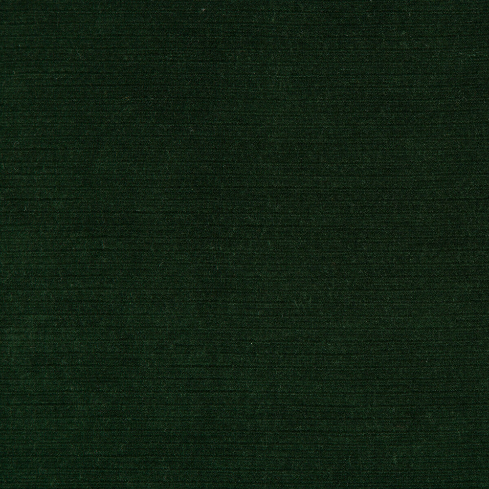Gemma Velvet Emerald by Lee Jofa Fabric Lee Jofa Fabric Gemma Velvet EmeraldFabric GEMMA PERFORMANCE VELVET POLYESTER - 100% Italy </p><p>Repeat: H: 0, V: 0 55 - Fabric Carolina -
