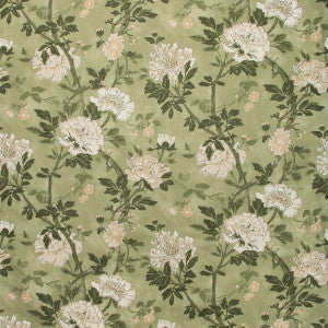 Inisfree Meadow by Lee Jofa Designer Fabric