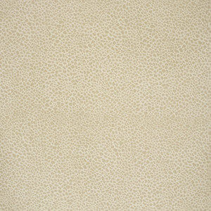 Safari Cotton Light Taupe by Lee Jofa Designer Fabric