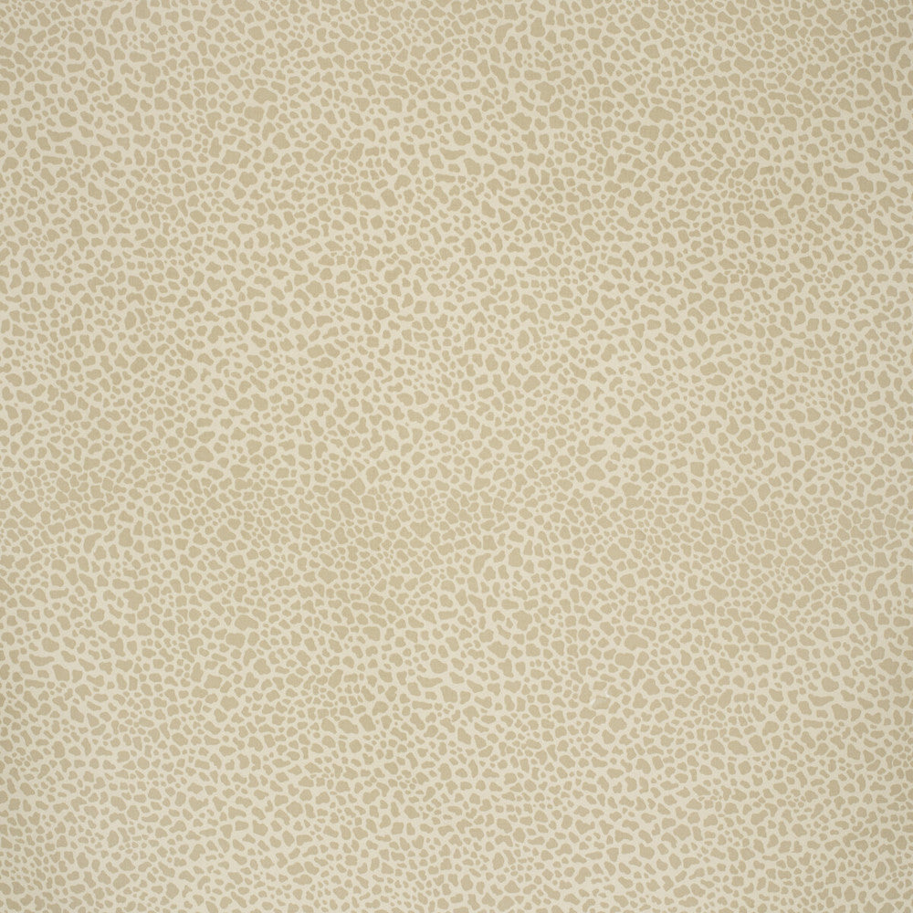 Safari Cotton Light Taupe by Lee Jofa Designer Fabric PAOLO MOSCHINO FABRICS COTTON - 100% United Kingdom MEDIUM Horizontal: 11.81 and Vertical: 15.75 56.3 - Swanky Fabrics -