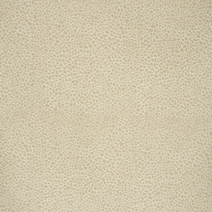 Safari Cotton Light Taupe by Lee Jofa Designer Fabric PAOLO MOSCHINO FABRICS COTTON - 100% United Kingdom MEDIUM Horizontal: 11.81 and Vertical: 15.75 56.3 - Swanky Fabrics -
