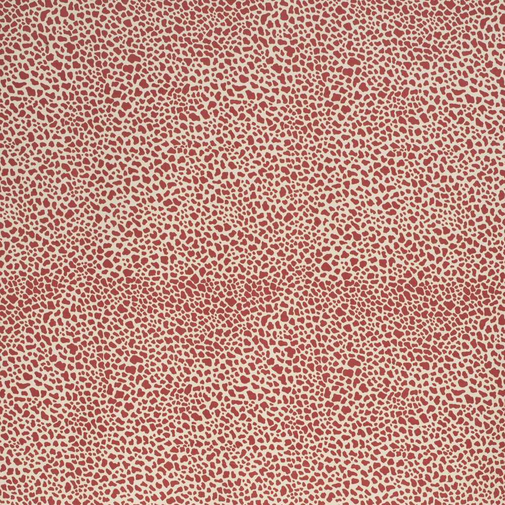 Safari Cotton Crimson by Lee Jofa Designer Fabric PAOLO MOSCHINO FABRICS COTTON - 100% United Kingdom MEDIUM Horizontal: 11.81 and Vertical: 15.75 56.3 - Swanky Fabrics -
