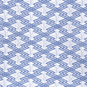 Via Krupp Blue/White by Lee Jofa Designer Fabric