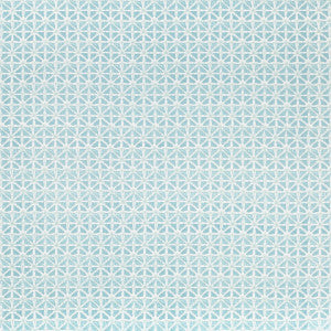 Sylvan Print Aqua by Lee Jofa Designer Fabric
