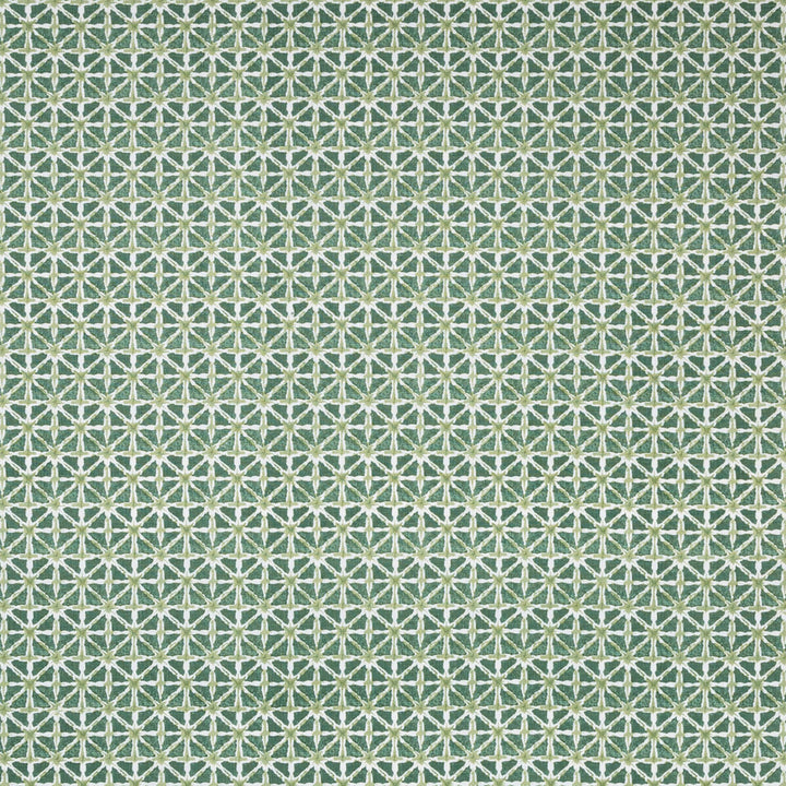 Sylvan Print Aloe by Lee Jofa Fabric Lee Jofa Fabric Sylvan Print AloeFabric AVONDALE LINEN - 100% India </p><p>Repeat: H: 2.24, V: 2.16 54.33 - Fabric Carolina -