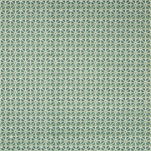 Sylvan Print Aloe by Lee Jofa Designer Fabric