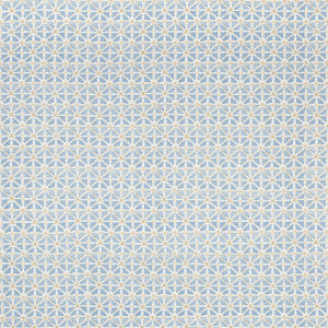 Sylvan Print Sky by Lee Jofa Designer Fabric