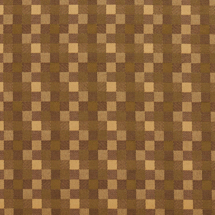 20240-01 by Charlotte Designer Fabric Galleria 57% Cotton, 43% Polyester Taiwan Exceeds 40,000 Wyzenbeek Rubs (Heavy Duty) </p><p>Repeat: Horizontal: 1.75" x Vertical: 1.75" 54 Inches - Swanky Fabrics -