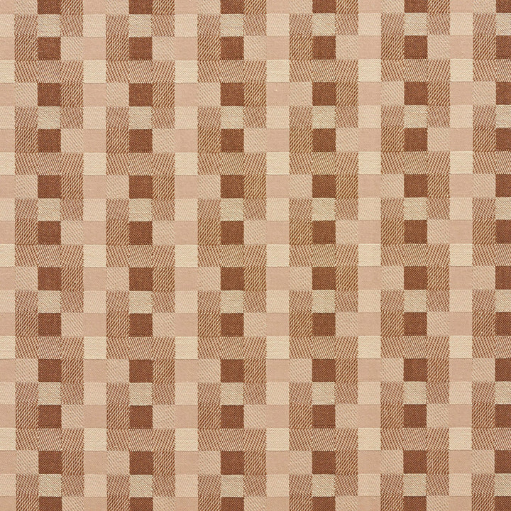 20240-02 by Charlotte Designer Fabric Galleria 57% Cotton, 43% Polyester Taiwan Exceeds 40,000 Wyzenbeek Rubs (Heavy Duty) Horizontal: 1.75" x Vertical: 1.75" 54 Inches - Swanky Fabrics -