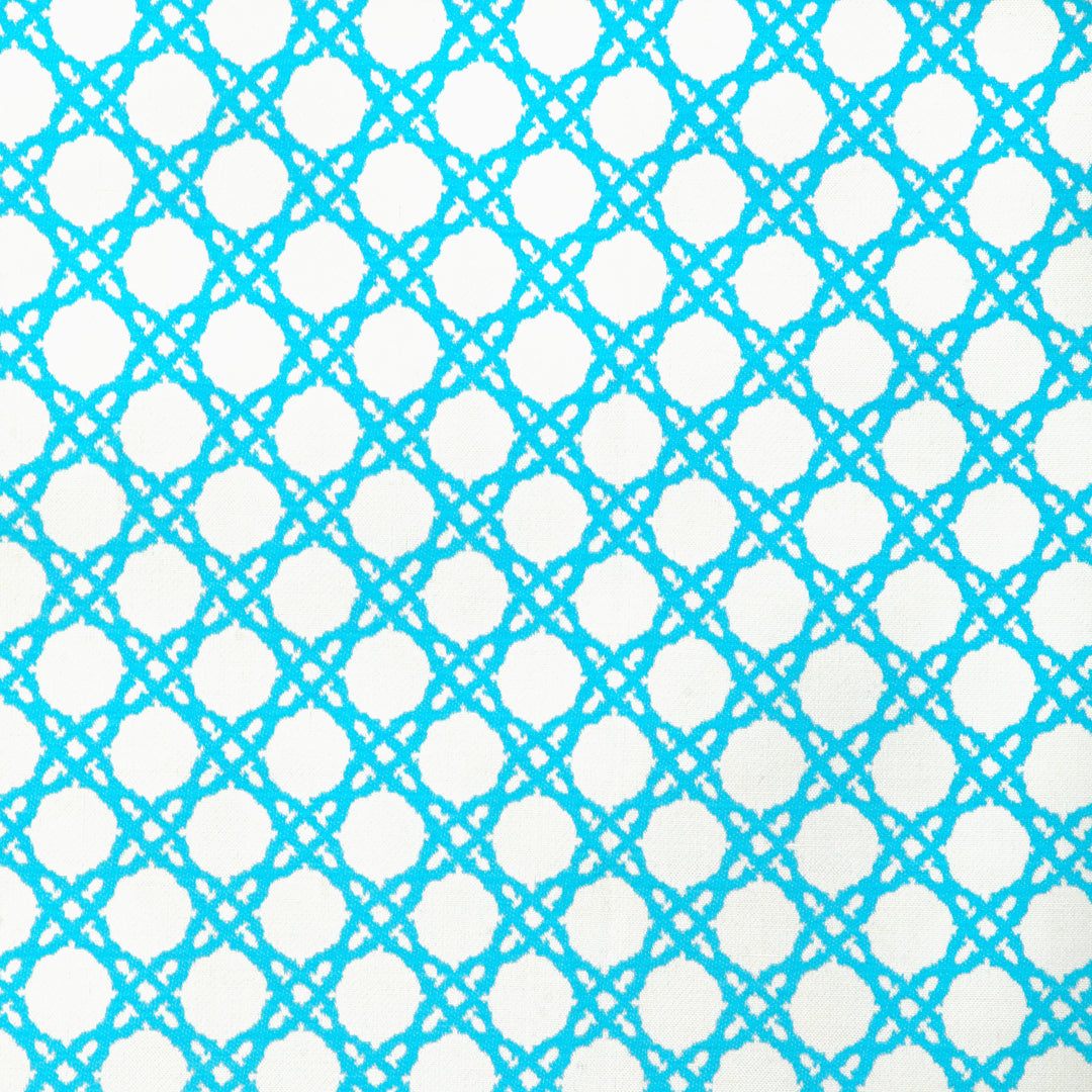 Coastal Cane - Sea 2025117.13.0 by Lee Jofa Designer Fabric
