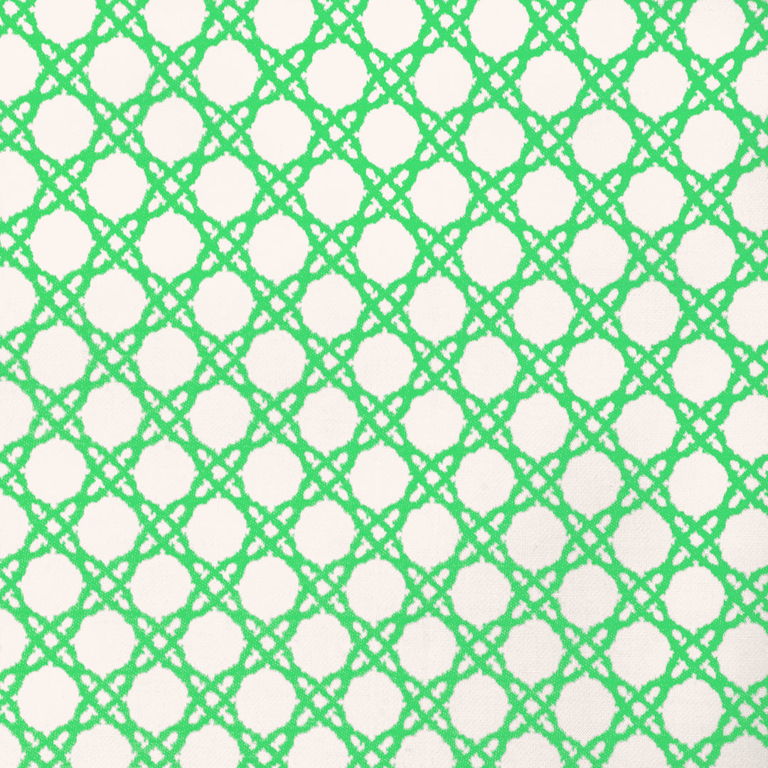 Coastal Cane - Green 2025117.31.0 by Lee Jofa Designer Fabric