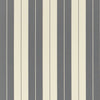 Bagatelle Stripe - Stone Grey 2026102.2111.0 by Lee Jofa Designer Fabric