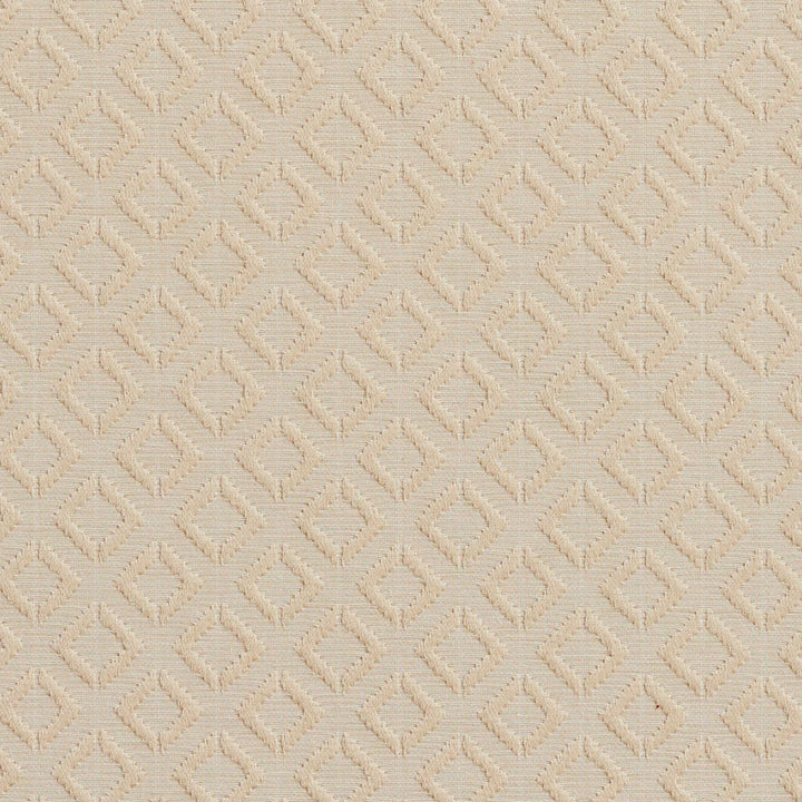 20640-05 by Charlotte Designer Fabric Millennium 65% Cotton, 35% Polyester Asia Exceeds 60,000 Wyzenbeek Rubs (Heavy Duty) Horizontal: 1.5" x Vertical: 1.5" 54 Inches - Swanky Fabrics -