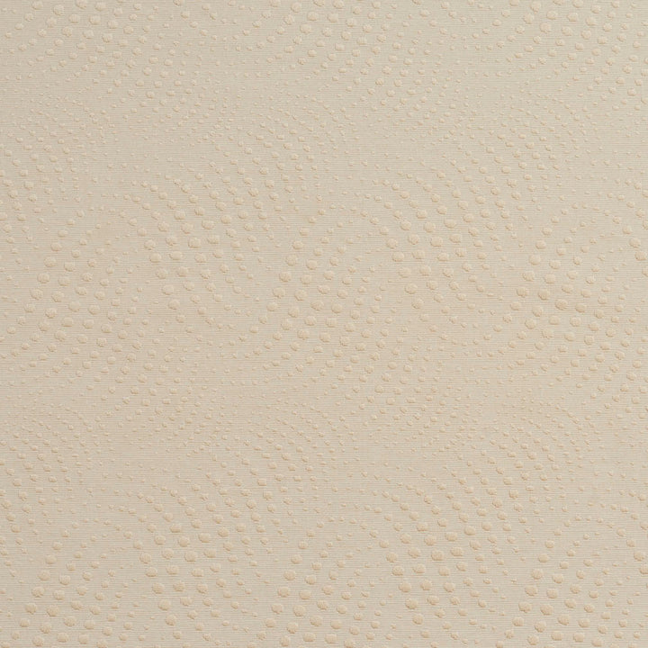 20650-05 by Charlotte Designer Fabric Millennium 65% Cotton, 35% Polyester Asia Exceeds 60,000 Wyzenbeek Rubs (Heavy Duty) Horizontal: 7.5" x Vertical: 8.5" 54 Inches - Swanky Fabrics -