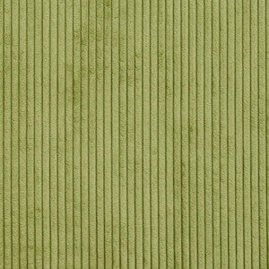 20700-01 by Charlotte Designer Fabric