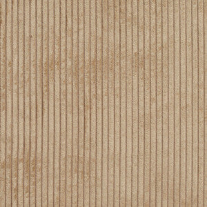 20700-10 by Charlotte Designer Fabric