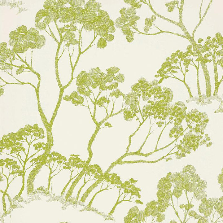 Timber ! Leaf 5007981 by Schumacher Designer Wallpaper Drawn From Nature 27.0" - Swanky Fabrics -