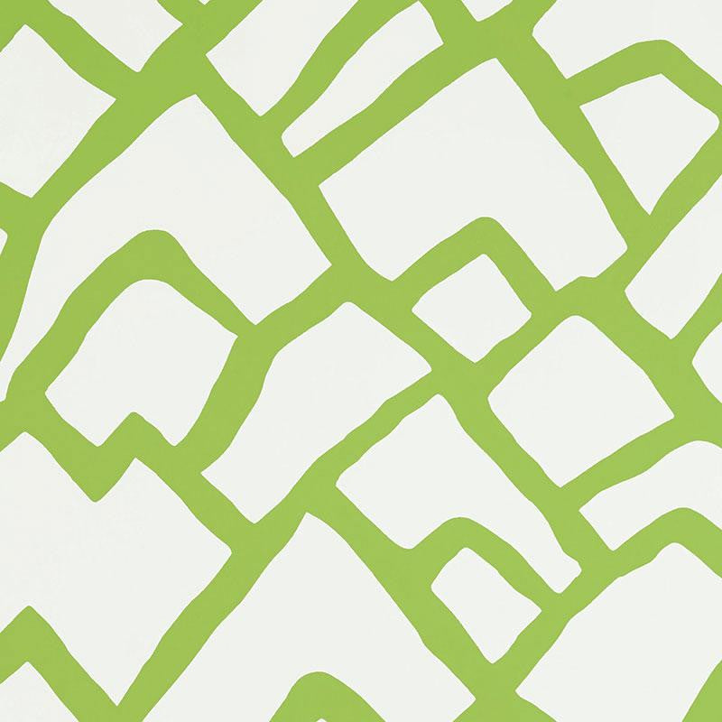 Zimba Lawn 5003306 by Schumacher Designer Wallpaper Drawn From Nature 27.0" - Swanky Fabrics -